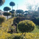 img_12_1741213699409